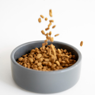 cat food.png
