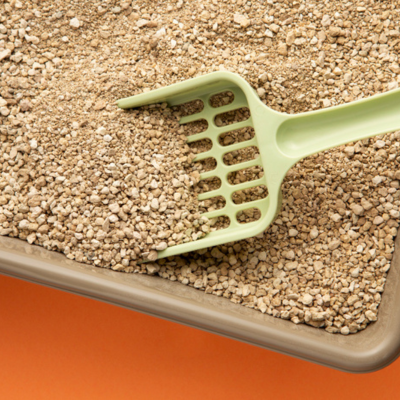 Cat Litter.png