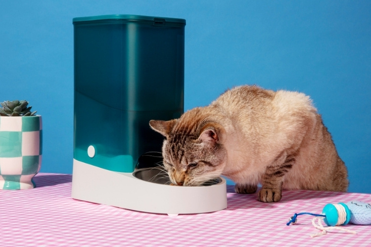 Gray cat drinking from automatic pet water fountain.jpg