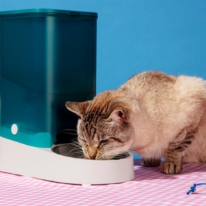 Best Non-Prescription Cat Food for Urinary Health: A Complete Guide