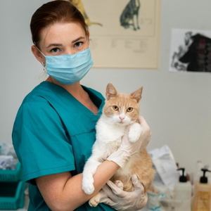 Best Supplements for Cats with Feline Leukemia (FeLV): Vet-Approved Natural Support Guide