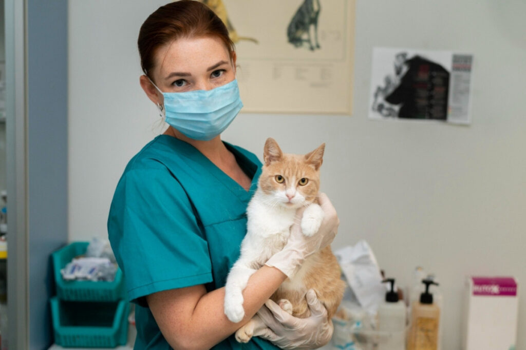 Veterinarian explaining feline leukemia virus .jpg