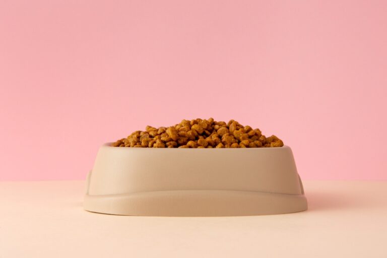 Wet cat food formulated to support healthy fur.jpg
