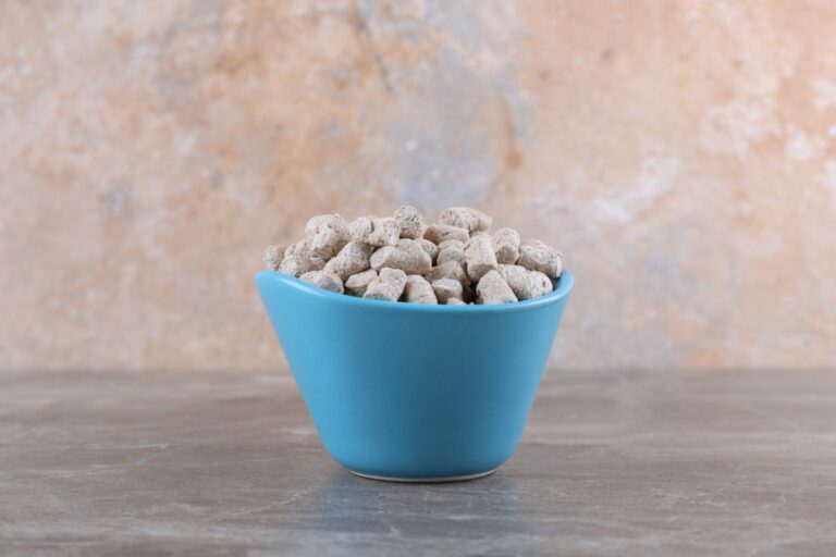 Wet cat food served to promote urinary health.jpg