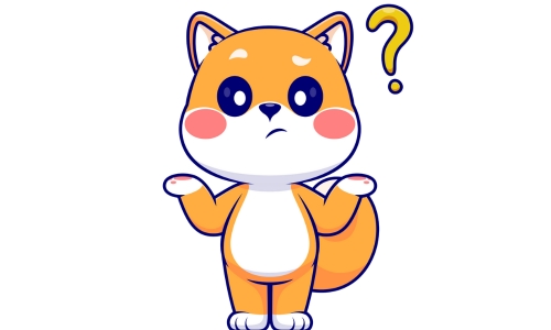 Cat asking questions about allergies